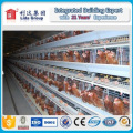 Prefabricated Poultry House/China House Prefabricated